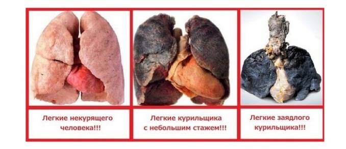 сколько в год умирает от курения