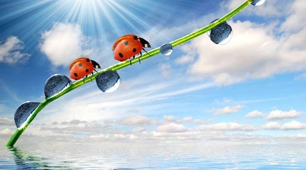 весенние приметы 2 класс