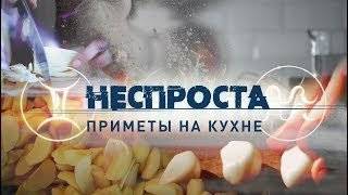 денежное дерево приметы и суеверия для дома