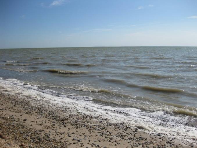 приснилось купаться в море