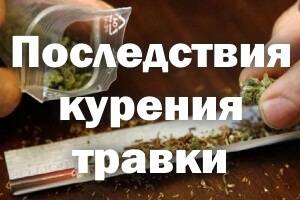 Последствия курения травки: для мужчин, муж курит, вред — последствия курения травки