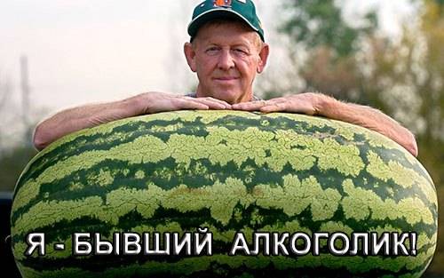 излечим ли алкоголизм